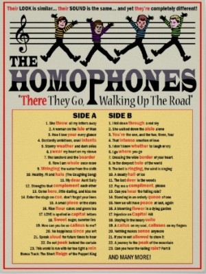 Homophones Poster